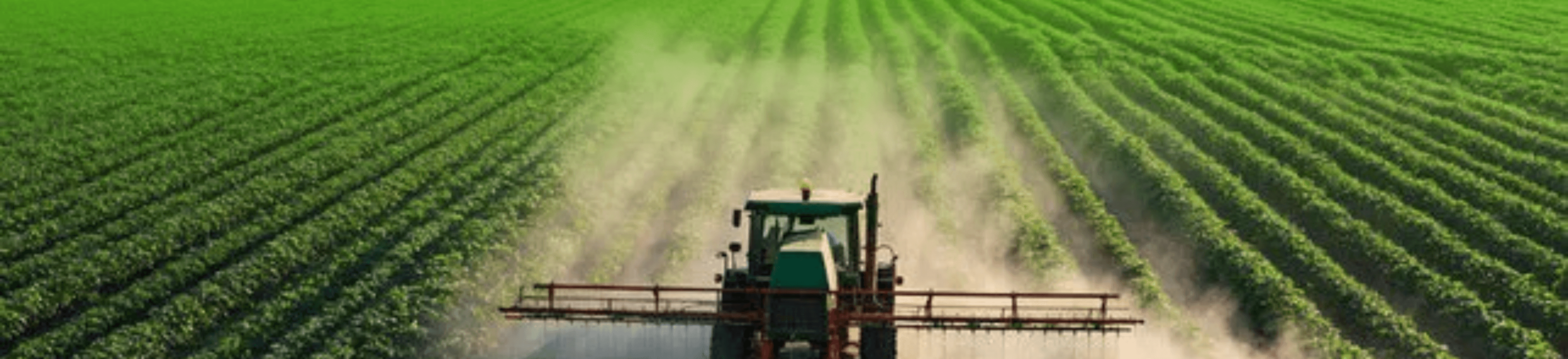 Background Image Background Image