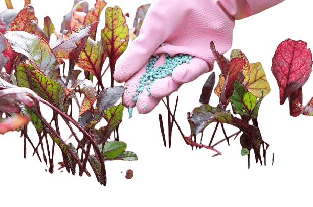 AGRO CHEMICALS image AGRO CHEMICALS image